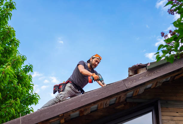 Best Metal Roofing Installation  in Natalbany, LA